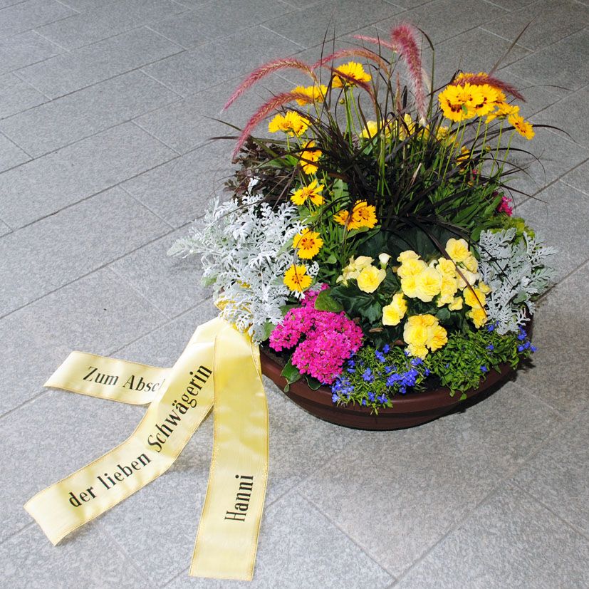 BS 1 - aus blauen Lobelien, Aschenkraut, Kokadenblume, rotes Gras, rosa Kalanchoe,gelben Begonien